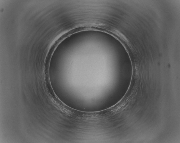 X0000073761020200608171351