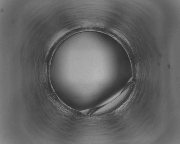 X0000073761021200608171351