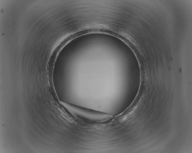 X0000073761022200608171351