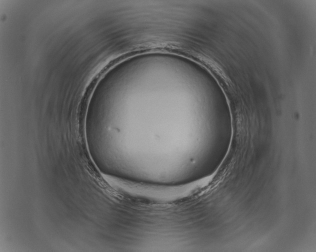 X0000073761023200608171351