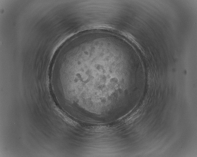 X0000073761024200608171351