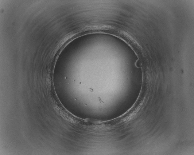 X0000073761025200608171351