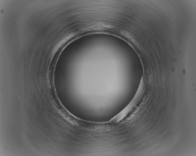 X0000073761026200608171351