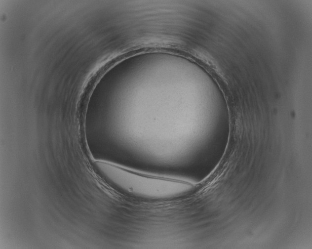 X0000073761027200608171351