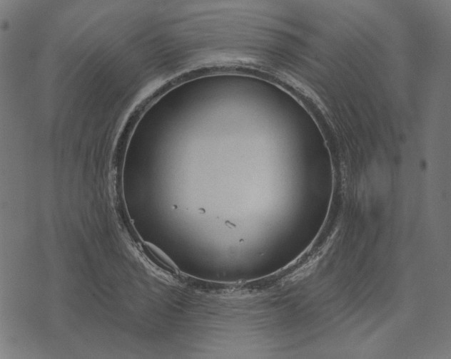 X0000073761029200608171351