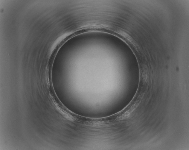 X0000073761030200608171351