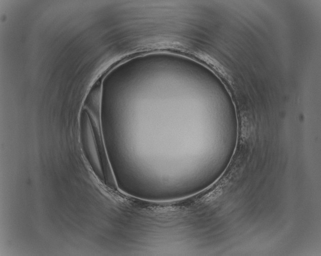 X0000073761031200608171351