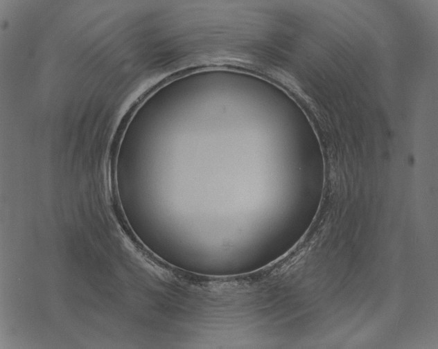 X0000073761032200608171351