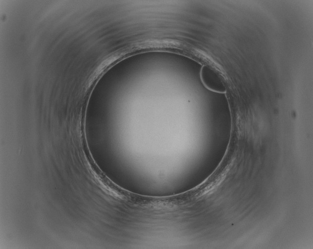 X0000073761033200608171351