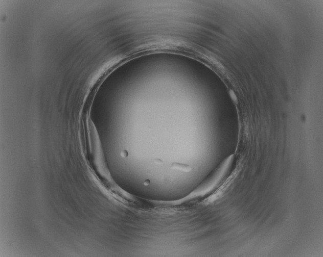 X0000073761034200608171351