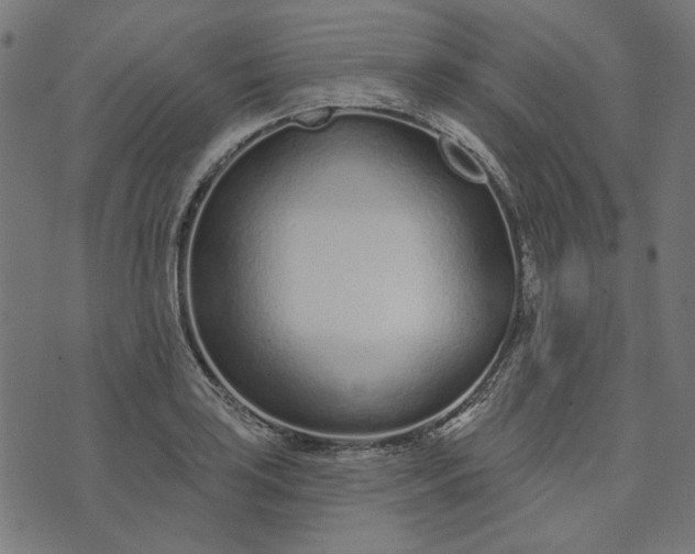 X0000073761035200608171351