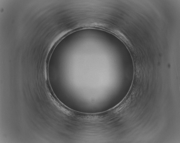 X0000073761036200608171351