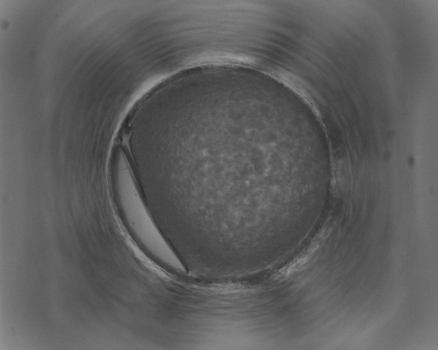 X0000073761037200608171351