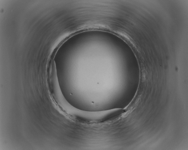 X0000073761038200608171351