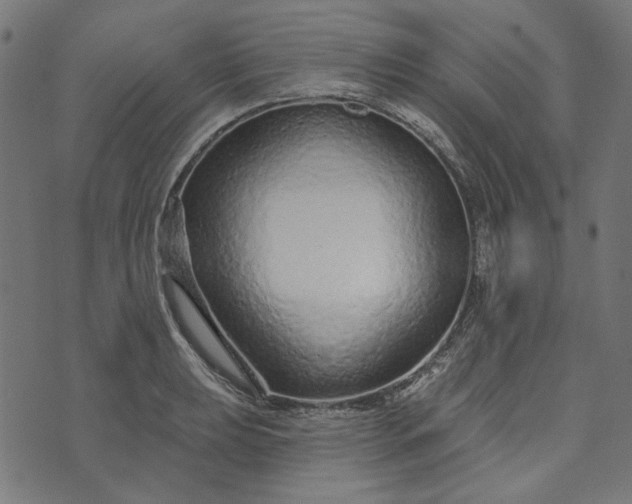 X0000073761039200608171351