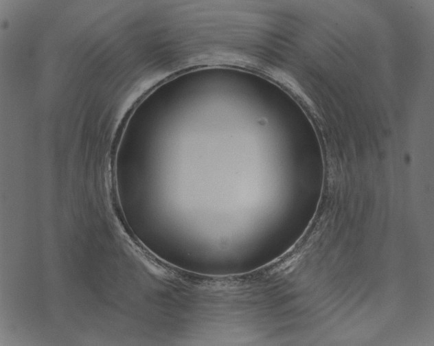 X0000073761040200608171351