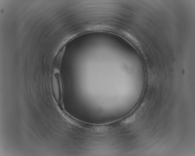 X0000073761041200608171351