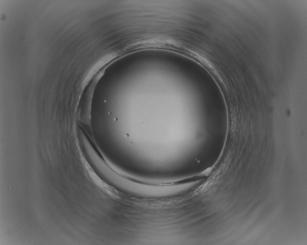 X0000073761042200608171351