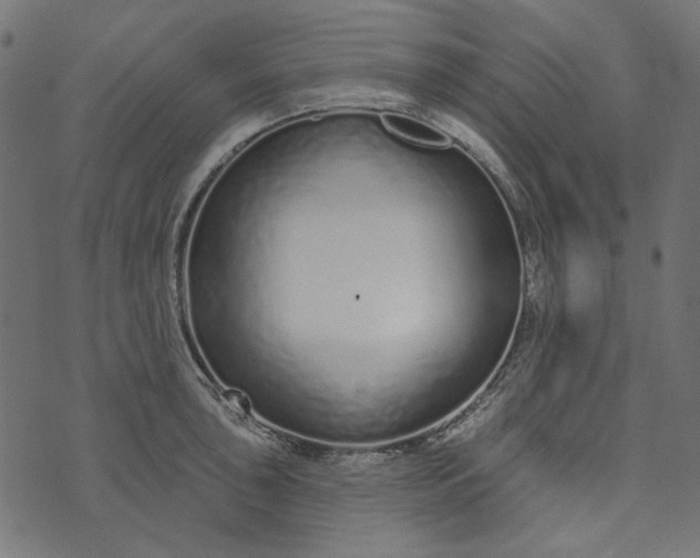 X0000073761043200608171351