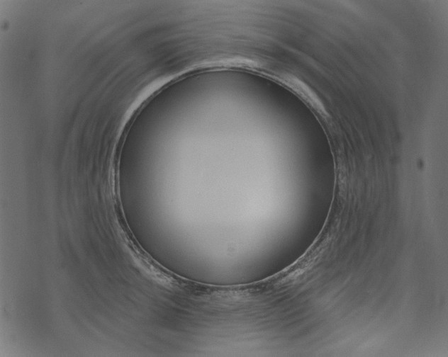 X0000073761044200608171351