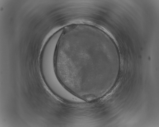 X0000073761045200608171351