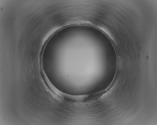 X0000073761046200608171351