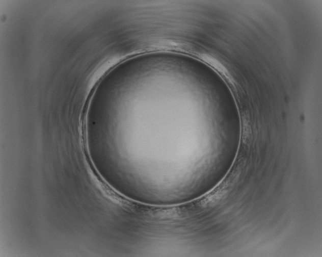 X0000073761047200608171351