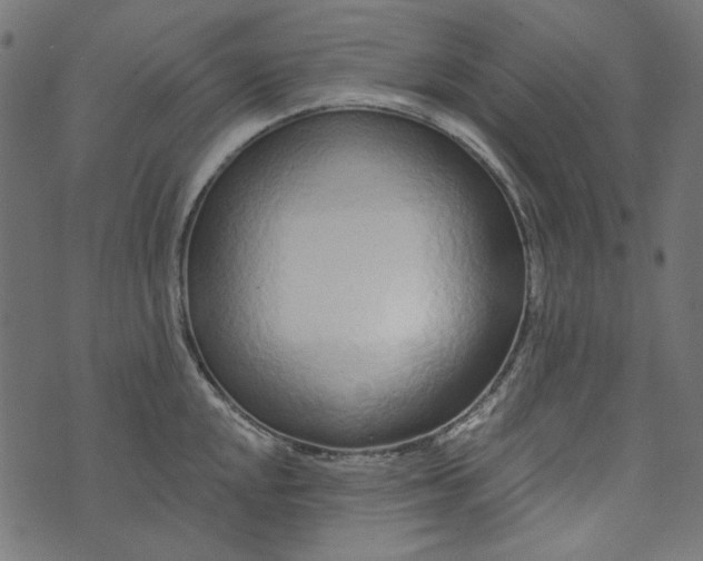 X0000073761048200608171351