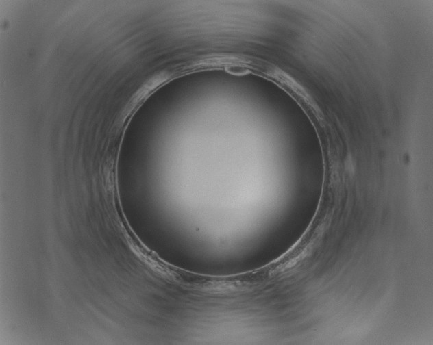 X0000073761049200608171351