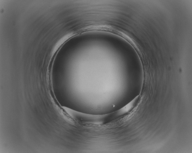 X0000073761050200608171351