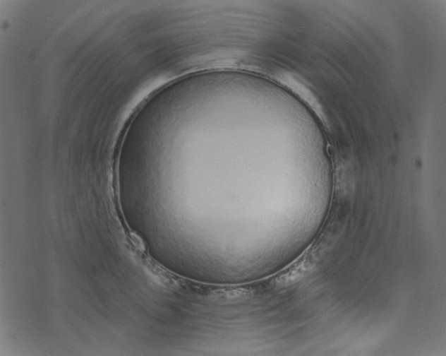 X0000073761051200608171351