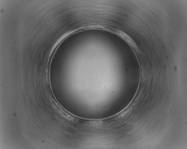 X0000073761052200608171351