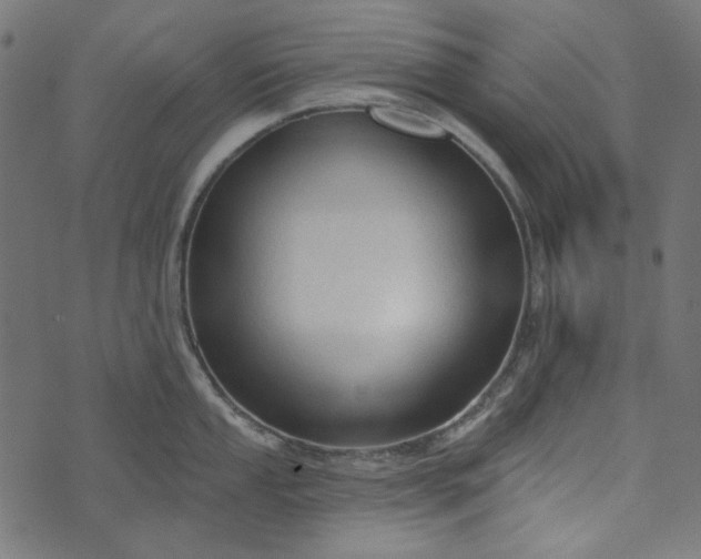 X0000073761053200608171351