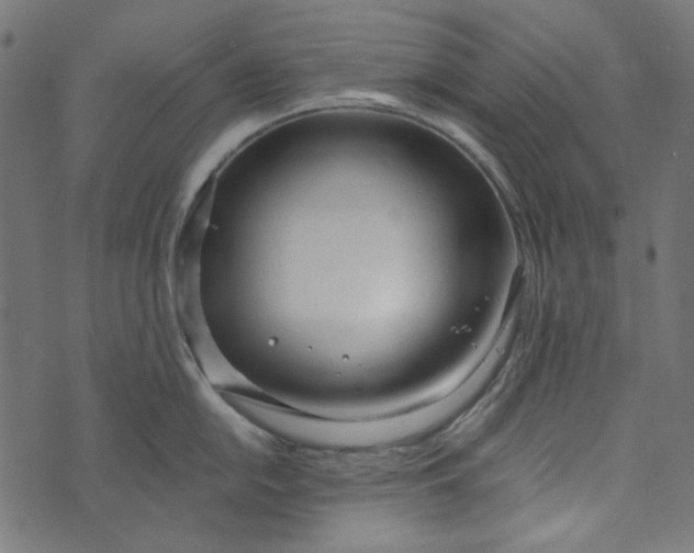 X0000073761054200608171351