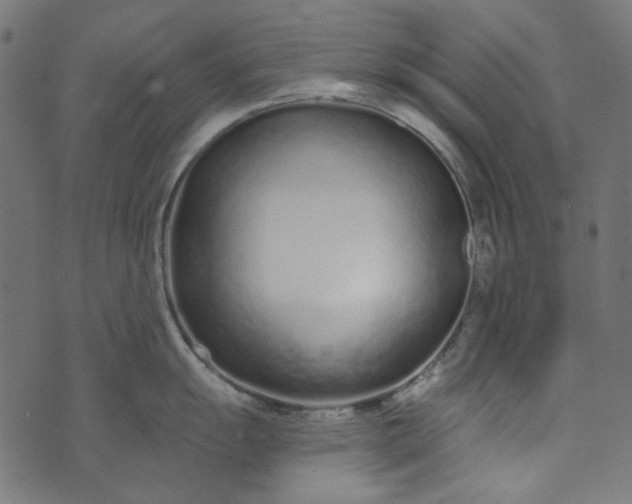 X0000073761055200608171351