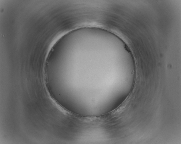 X0000073761056200608171352