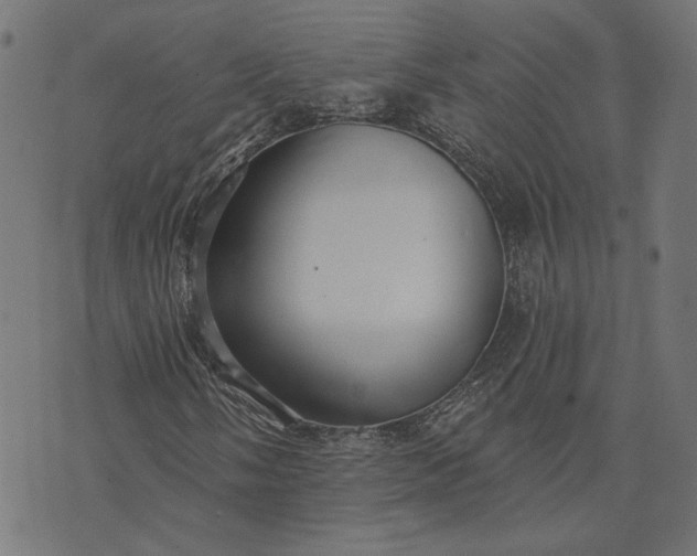 X0000073761058200608171351