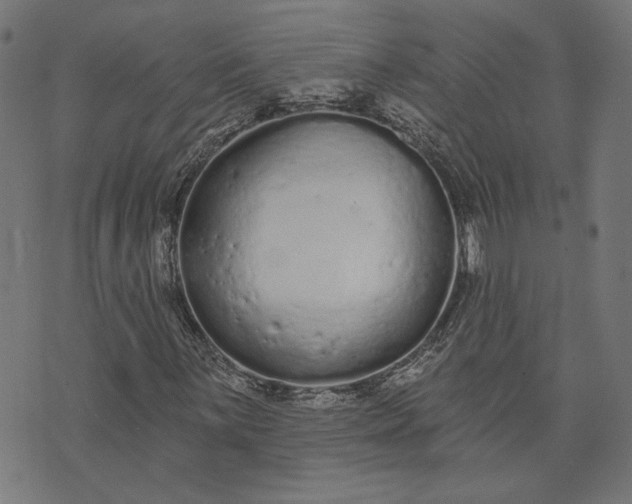 X0000073761059200608171351