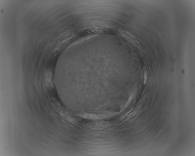 X0000073761060200608171351