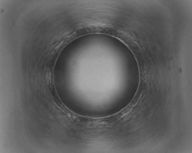 X0000073761061200608171351