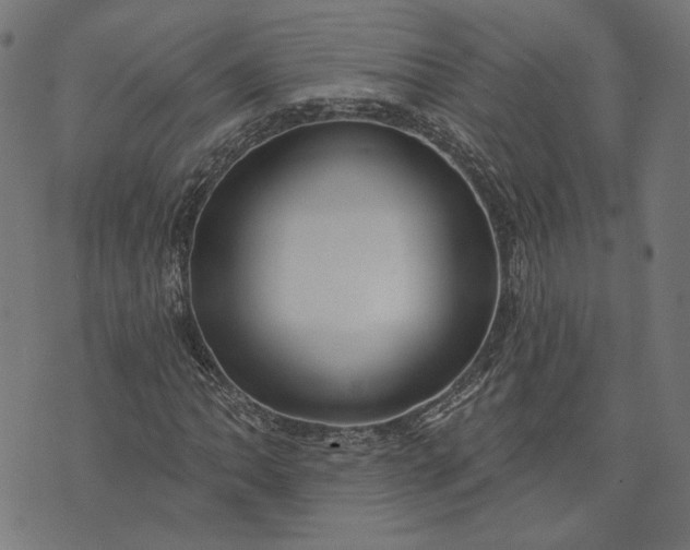 X0000073761062200608171351