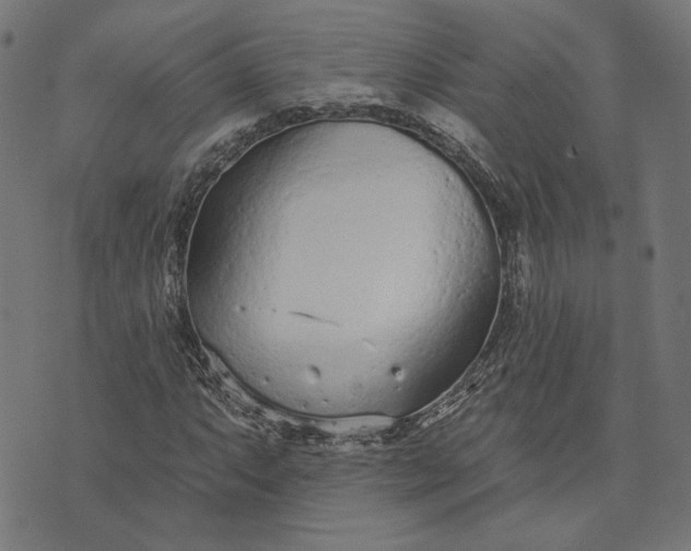 X0000073761063200608171351