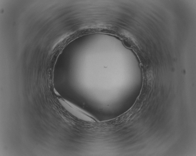 X0000073761064200608171351