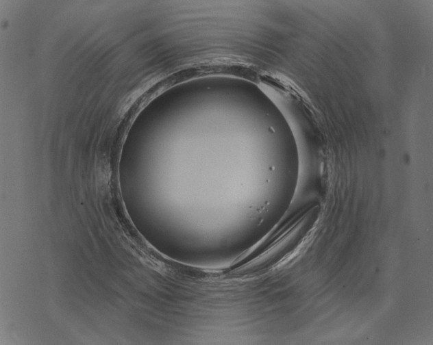 X0000073761065200608171351