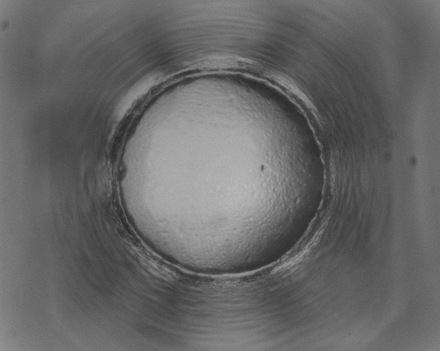 X0000073761067200608171351