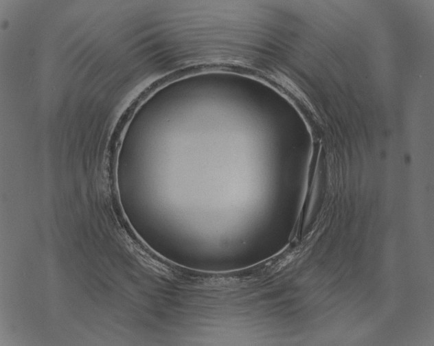 X0000073761068200608171351