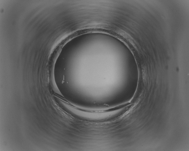 X0000073761069200608171350