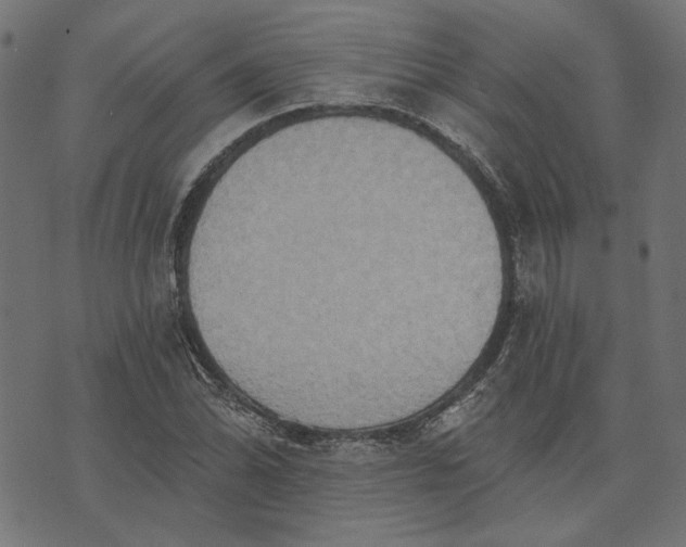 X0000073761070200608171350