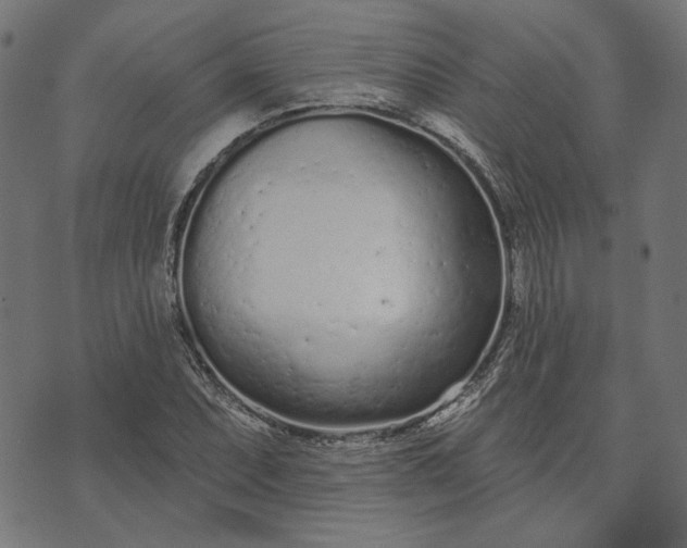 X0000073761071200608171350