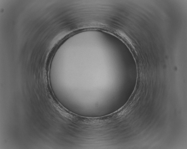 X0000073761072200608171350